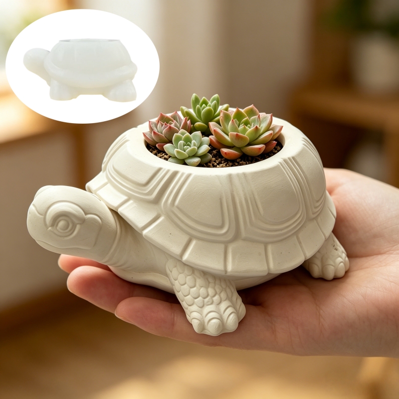Schildkrötenförmige Sukkulente – Potsticker Mold Bewertung und Preis